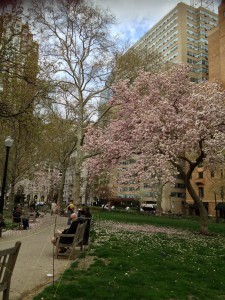 Philadelphia's Rittenhouse Square is the type of public space with low density that makes our cities so wonderful.  We need balance in our cities not just density.