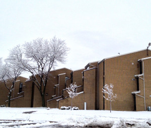 The Shoreline Apartments designed by Paul Rudolph, were built in downtown Buffalo in 1974.  Five of the buildings are under threat of demolition.