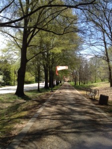 The Old Salem Strollway connects downtown Winston-Salem to the Salem Reservoir and runs in front of our house.