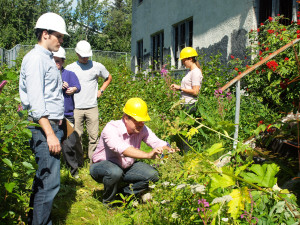 The sustainability team evaluating the building's foundation.  